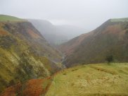 Near Llyn Clywedog